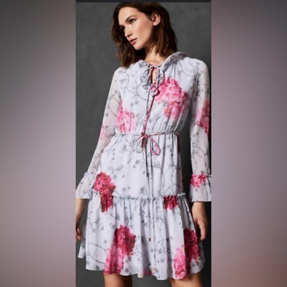 Ted Baker Eriin Babylon GGT Ruffle Dress Coquette Cottagecore Bohemian Floral